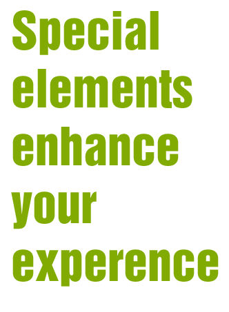 special elements Special elements enhance your experience
